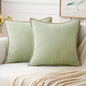 MIULEE Decorative Couch Throw Pillow Covers 16x16 Inch Light Green 2 Pack | by MIULEE