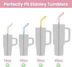Tomorotec 6-Pack Reusable Stainless-Steel Straws with Silicone Tips, 3 Sizes Compatible with Stanley Tumblers 40OZ 30OZ 20OZ 14OZ, Dishwasher Safe, Includes 2 Cleaning Brushes (Candy Land)