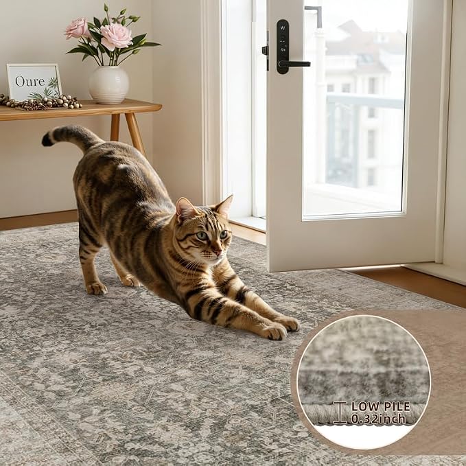 10x14 Area Rugs Living Room: Bedroom Washable Carpet Warm Taupe | Vintage Boho - Image 9