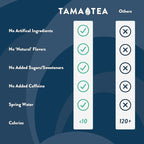 Sparkling Mint Yerba Mate by Tama Tea - Unsweetened Natural Energy Drink with Real Fruit & Herbs - Healthy Caffeine Drink Alternative - 120mg of Brain-Boosting Caffeine, 10 Calories - 12oz Pack of 12