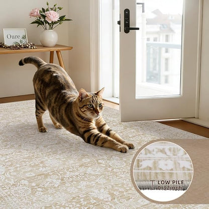 10x12 Area Rugs Living Room: Bedroom Washable Carpet Natural Beige | Large - Image 9