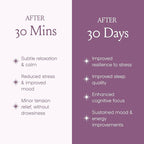 SPACE AND TIME Relax - Mushroom Chai Tea - 20 Cups of Calm & Relaxation - Mushroom Tea with Reishi, Magnesium & L-Theanine
