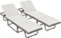 Devoko Lounge Chair Foldable Rattan Chaise Lounge 2-Pack, 5-Angle Adjustable by DEVOKO