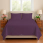 Sleeper Sofa Bed Sheet, 100% Cotton 400 Thread Count, 4 Piece Set, Deep Pocket by BeyondWhatYouSee