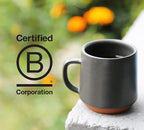 Counter Culture Coffee - Whole Bean Coffee - Multi-Pack - One 12oz Bag of Each (Big Trouble and Hologram)