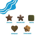 Tea Drops Sampler Box 25 Count | Organic Dissolvable Loose Leaf Tea | Iced or Hot | On-The-Go Naturally Sweetened Organic Chai, Rose Earl Grey, Citrus Ginger, Peppermint, Matcha | 25 Servings - 5 Per Flavor