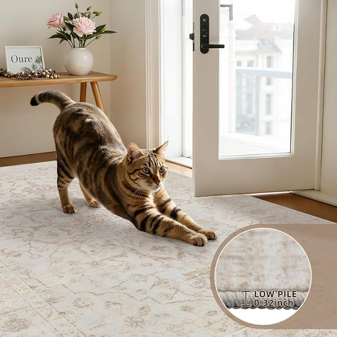 8x10 Area Rugs Living Room: Bedroom Washable Carpet Warm Beige | Vintage Boho - Image 9
