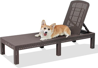 DIMAR GARDEN Beach Chairs Outdoor Chaise Lounge, Resin Pool Lounge Chair by DIMARGARDEN