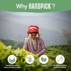 HANDPICK, English Breakfast Tea Loose Leaf (340g/12oz) Strong, Robust, High Caffeine Black Tea Loose Leaf | Non-GMO | Resealable, Ziplock Pouch | Brew Hot, Iced or Kombucha tea | Assam Black Tea