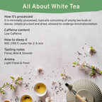 HANDPICK, Organic White Tea - 100 Tea Bags | USDA Organic, 100% Pure White Tea | Mild & Smooth | Packed in Eco-friendly Tea Bags