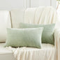 Fancy Homi 2 Packs Sage Green Lumbar Decorative Throw Pillow Covers 20x28 Inch by Fancy+Homi