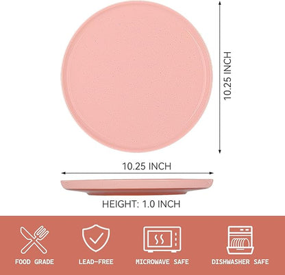 GZG Ceramic Dinner Plates Set of 4, 10.25 Inch Speckled Stoneware Plates with Clay-Tone Base, Large Ceramic Plates for Steak, Salad, Pizza, Microwave Oven Dishwasher Safe