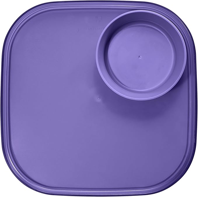 Madesmart Dipware Reusable Dining Plate/Serving Tray for Appetizers and Snacks, Food-Safe Appetizer Serving Platter with Removable Dip Bowl, Plum