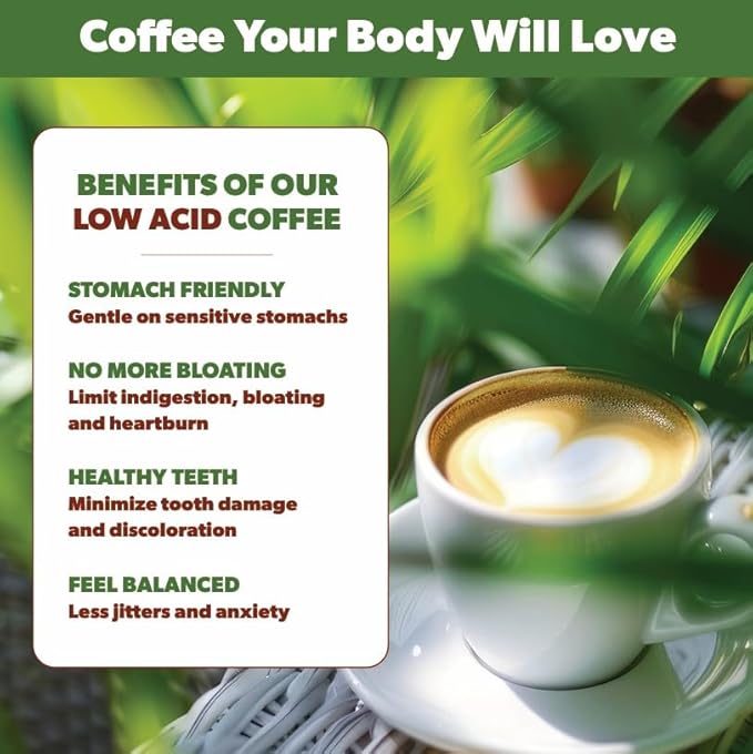 Low Acid Organic Coffee – Whole Bean, Mold-Free & Stomach Friendly by Java Planet, Good Morning Blend Coffee, Medium Roast, Smooth Full Flavored, 2x1LB Bag