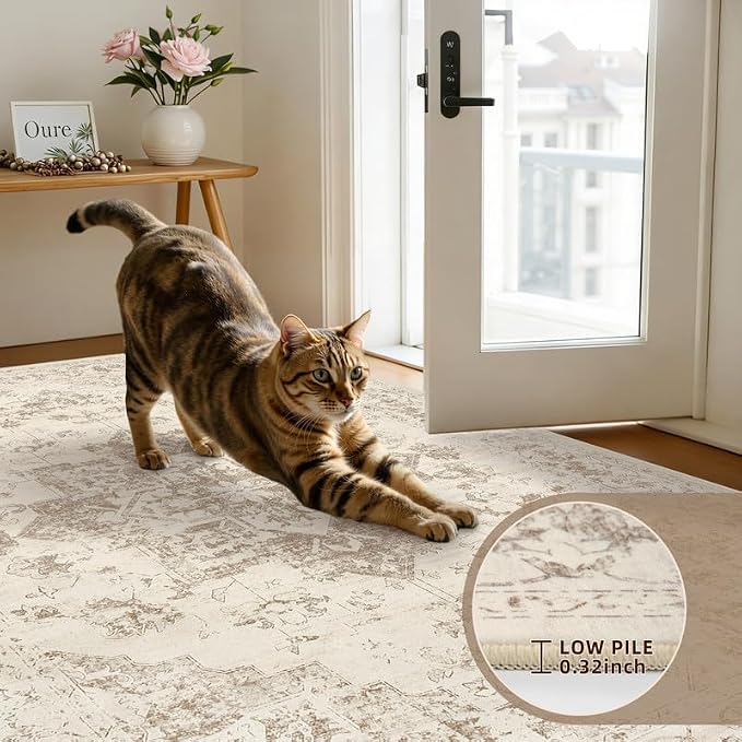Washable Area Rugs 2x3: Living Room Bedroom Carpet Beige/Ivory | Vintage Boho - Image 6