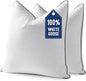 MIULEE Goose Feather Down 20x20 Pillow Insert Set of 2 by MIULEE