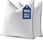 MIULEE Goose Feather Down 18x18 Pillow Insert Set of 2 by MIULEE