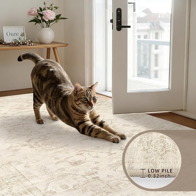 Washable Area Rugs 2x3: Living Room Bedroom Carpet Beige/Brown | Vintage Boho - Image 6