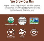 OM MUSHROOM SUPERFOOD Coffee Blend Mushroom Powder, 6.24 Ounce Canister, 30 Servings, Organic Arabica Beans, Lion's Mane, Cordyceps, Turkey Tail, Ginkgo Biloba, Supports Energy and Focus