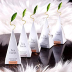 Tea Forte Winter Chalet Petite Presentation Box Tea Gift Set Sampler, 10 Count, 2 of Each Variety Individually Wrapped Handcrafted Pyramid Infuser Bags