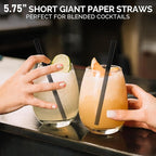 5.75 inch 8mm Wide Short Black Paper Drinking Straws Disposable for Lowball Glasses, Blended Cocktails, Margaritas, Bars, Restaurants - Unwrapped [250 Counts]