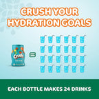 Crush, Fruit Punch, Liquid Water Enhancer – New, Better Taste (4 Bottles, Makes 96 Flavored Water Drinks) 1.62 Fl Oz (Pack of 1)