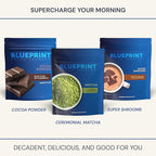 Blueprint Bryan Johnson Matcha Powder – Ceremonial Grade Japanese Matcha – Green Tea for Energy & Focus – Natural Caffeine, Antioxidant-Rich – 30mg L-Theanine- 30 Servings