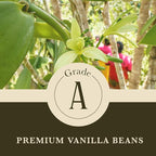 Cook's, Choice Premium Quality Pure Vanilla Extract, 8 oz