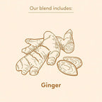 Indochine Blends, Ginger Tea Bags, 50 Teabags, 2g/bag, Individually Wrapped Envelopes, Caffeine-free, No Sugar, Healthy Belly Herbal Tea Supports Digestion & Boosts the Immune System