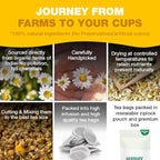 HANDPICK, Organic Chamomile Tea Bags (100 Herbal Tea Bags) Caffeine Free| Premium Floral Chamomile Herbal Tea in Eco-Conscious Teabags | Direct from Source