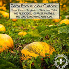 Gerbs Ground Pumpkin Seed Meal, 2 LBS - Top 14 Food Allergy Free & NON GMO - Vegan & Keto Safe – Cold Milled Full Oil Seed Protein Powder