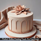 Confect Skin Fondant | Icing Fondant | Colored Fondant | Fondant Kit | Cake Fondant | Chefs Choice Edible Fondant for Cakes Decorating | Vegan, Gluten-Free, Nut-Free, Palm Oil-Free – 8.8 Oz