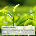 HANFANGLING Green Grape Oolong Tea - Premium Loose Leaf Tea with Natural Green Grape Flavor, 100% Natural, Refreshing & Fruity 1.76oz