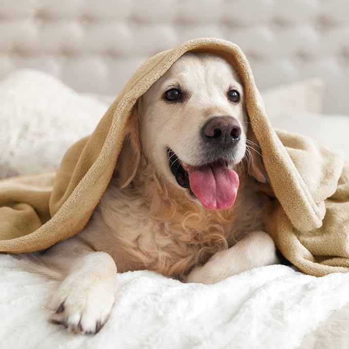 BEDELITE Fleece Blanket Soft Plush Throw - Image 9