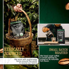 The Bean Organic Coffee Company Water Processed DECAF Pumpkin Spice, Medium Roast, Whole Bean Coffee, 5-Pound Bag