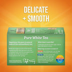 Twinings Pure White Tea Individually Wrapped Bags, 20 Count (Pack of 6), Light & Fresh, Caffeinated, Enjoy Hot or Iced, 120 Teabags