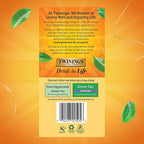 Twinings Lemon & Ginger Herbal Tea Individually Wrapped Bags, 50 Count (Pack of 6), Tangy Lemon & Spicy Ginger, Naturally Caffeine-Free, Enjoy Hot or Iced, 300 Teabags