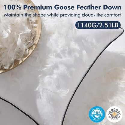 MIULEE Goose Feather Down 20x20 Pillow Insert Set of 2 - Image 2