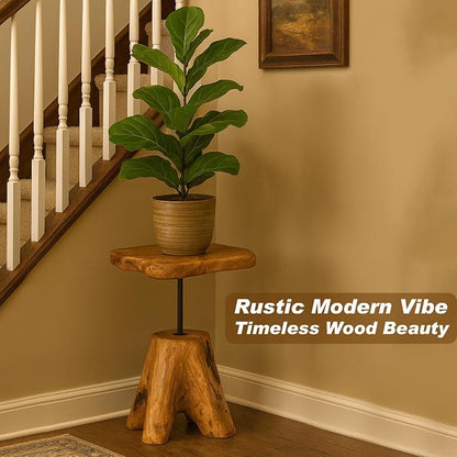 Natural Edge Cedar Stump Side Table - Image 4