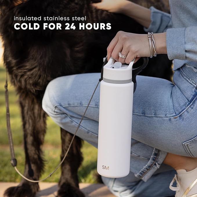 Simple Modern Water Bottle with Straw Lid | Vacuum Insulated Stainless Steel Metal | Reusable Leak Proof BPA-Free Cup for School | Summit Collection | 22oz, Violet Dreams