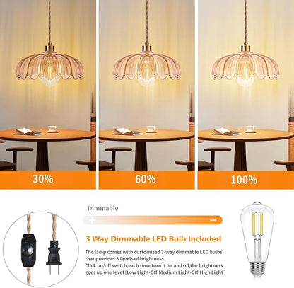 QIYIZM Plug in Pendant Light Hanging Lights - Image 2