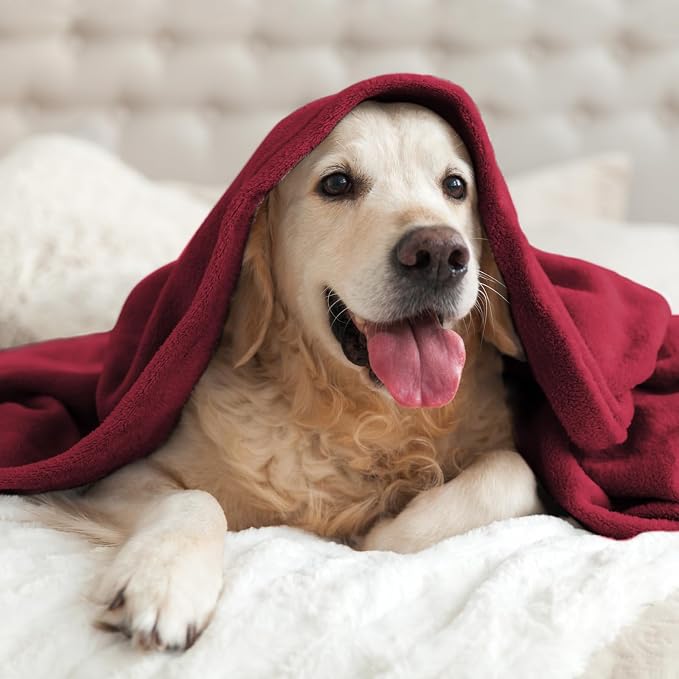 BEDELITE Fleece Blanket Soft Plush Twin Size Blanket Burgundy 60"x80" | Ultra - Image 8