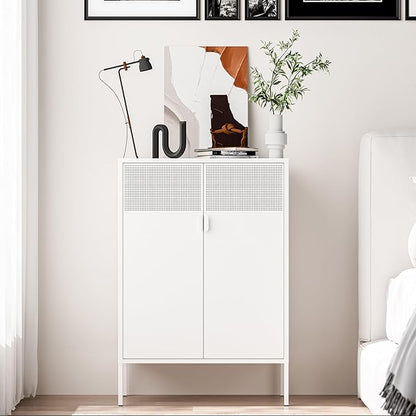 Washsemba 2 Mesh Door Metal Storage Cabinet by Washsemba