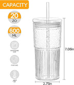 Glass Cups With Lids and Glass Straws，20 OZ 4pcs High Borosilicate Glass Tumbler Iced Coffee Water Smoothie