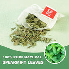 TEARELAE - Spearmint Tea - 1.5g x 50 Count - 100% Pure Spearmint Leaves - Non-GMO - Naturally Caffeine-free Herbal Tea - Support Digestion & Natural Breath Freshener