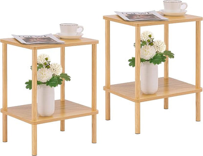 Apicizon 2 Tier End Table Set of 2, Small Side Table by APICIZON