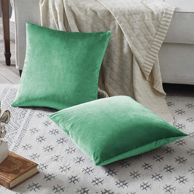 GIGIZAZA Decorative Couch Throw Pillow Covers, Pillow Cases Velvet Pillow Covers - Image 5