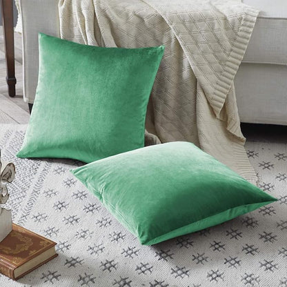 GIGIZAZA Decorative Couch Throw Pillow Covers, Pillow Cases Velvet Pillow Covers - Image 5