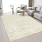 Area Rug Living Room: 4x6 Modern Washable Indoor Soft Carpet Beige | by FXRHLP