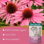 Echinacea Tea Organic (10oz.) – Echinacea Purpurea Herb Loose Leaf - Equinacea Organica - Body Defenses, Immune Support Tea